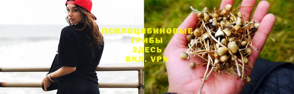 скорость Абаза