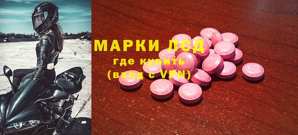 эйфоретик Алзамай