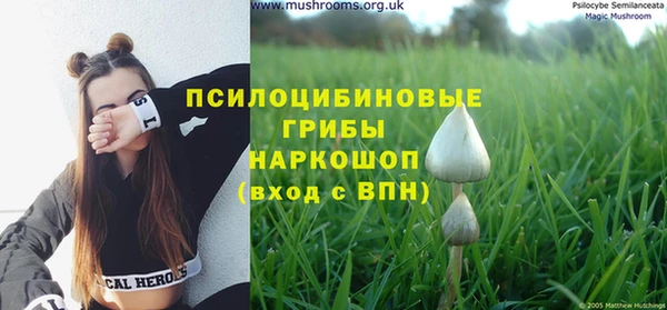 эйфоретик Алзамай