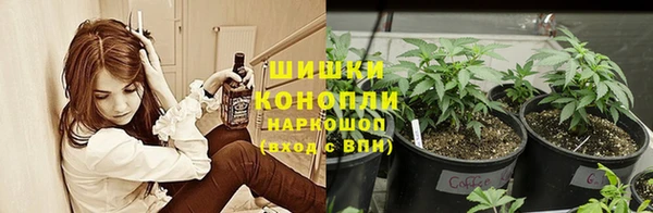 ГАЛЛЮЦИНОГЕННЫЕ ГРИБЫ Абинск