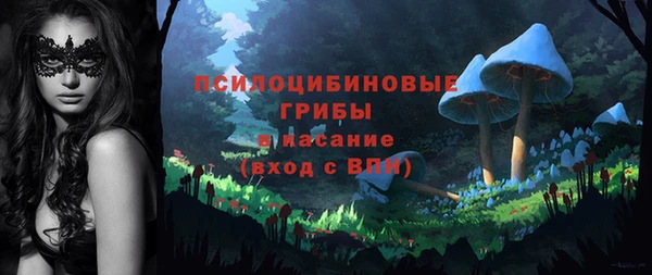 прущий лед Армянск